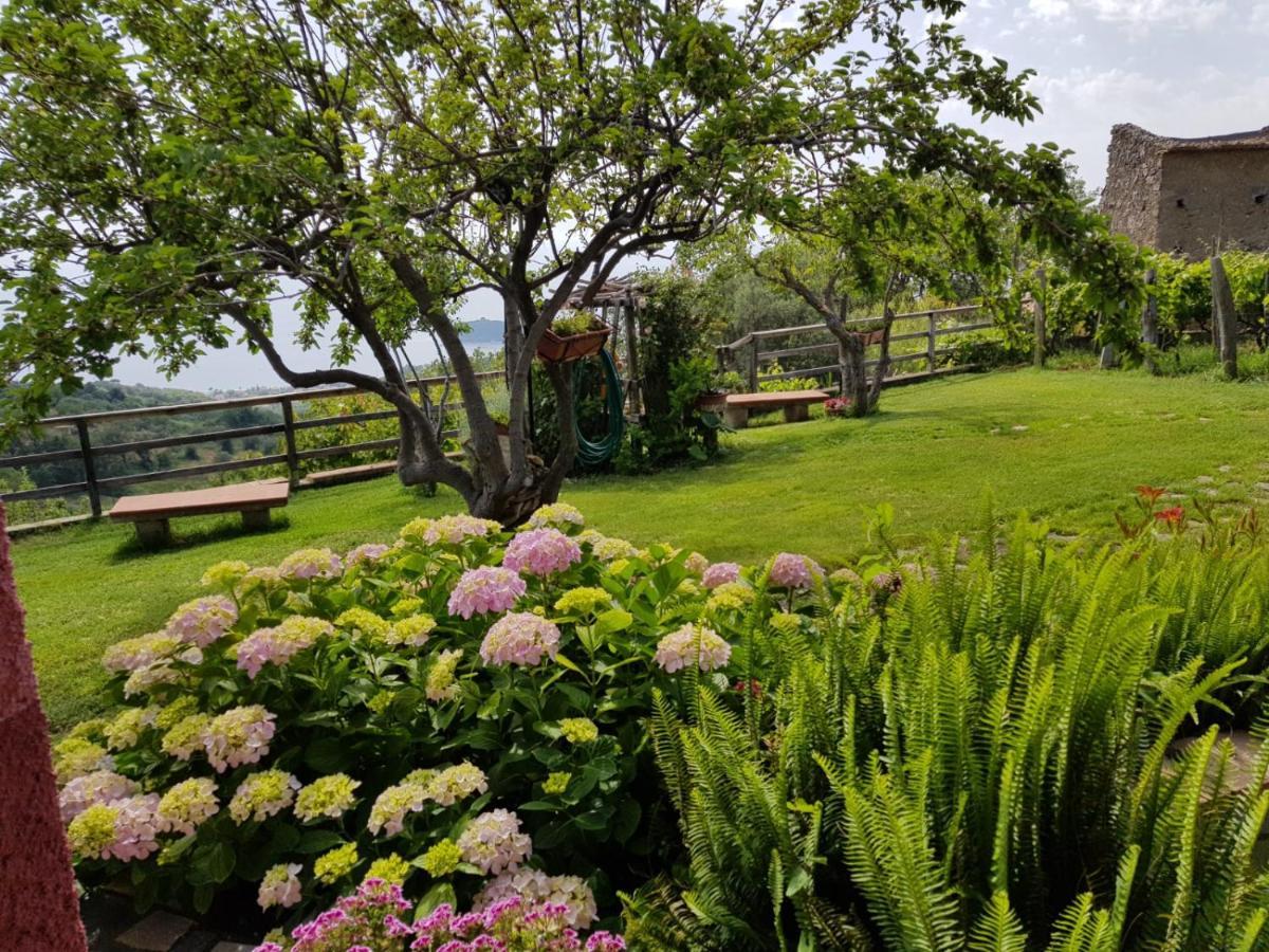 B&B La Sirenetta Diamante Dış mekan fotoğraf