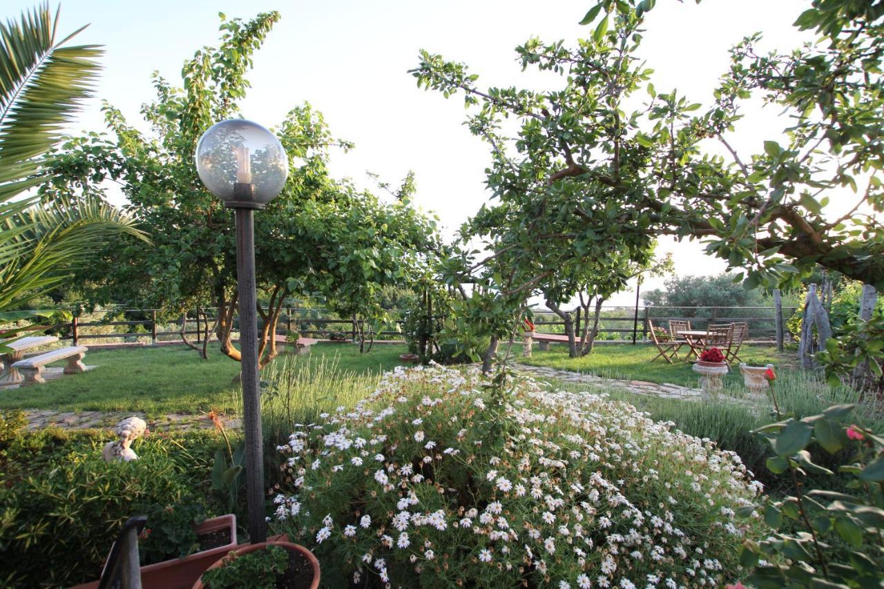 B&B La Sirenetta Diamante Dış mekan fotoğraf