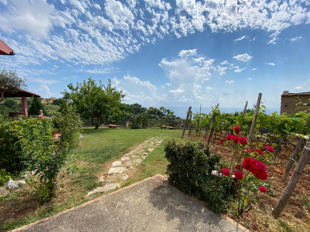 B&B La Sirenetta Diamante Dış mekan fotoğraf