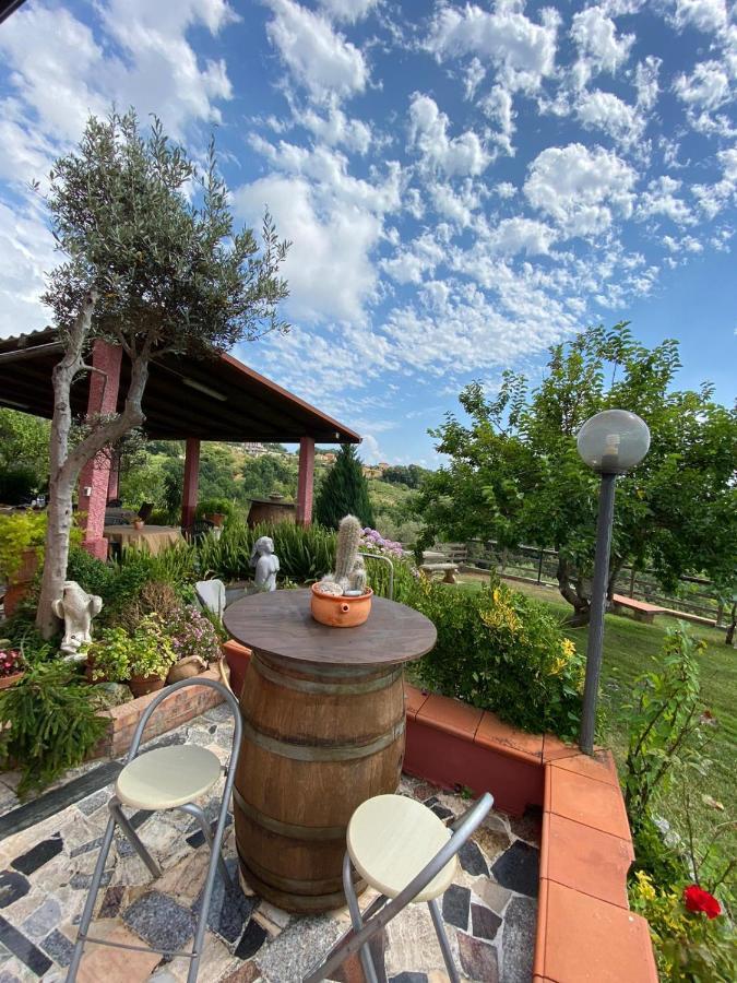 B&B La Sirenetta Diamante Dış mekan fotoğraf